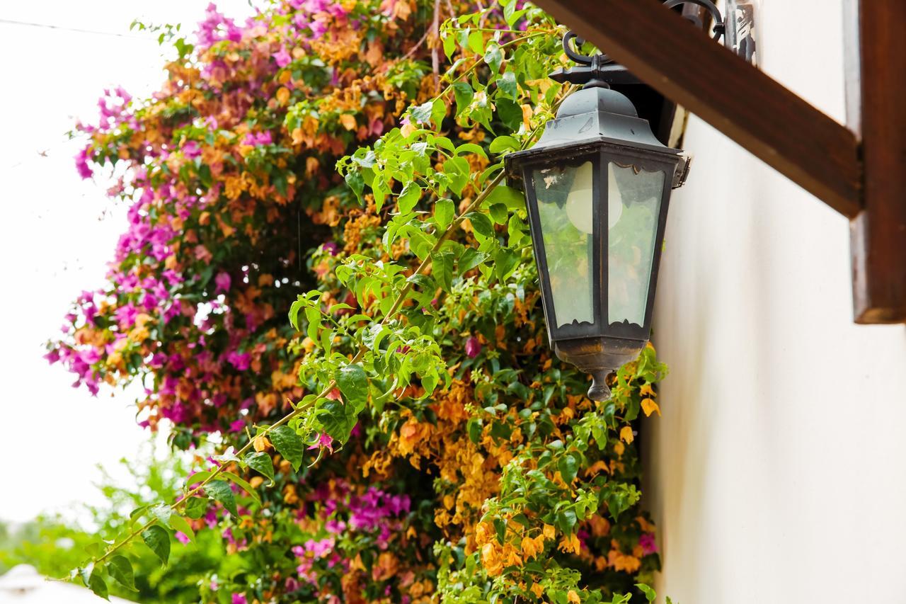 Bed & Breakfast Santa Fara Bari Exteriér fotografie